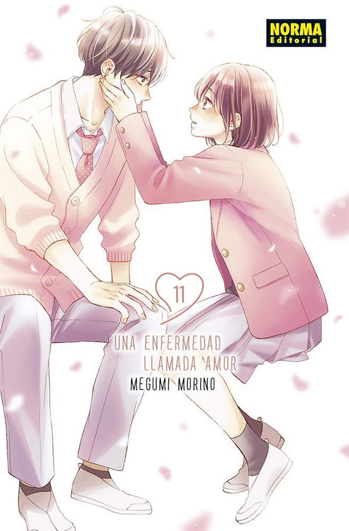 Una enfermedad llamada amor 11
